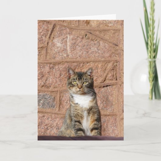 Carte Church Cat (Devant)