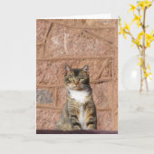 Carte Church Cat (Fleur jaune)