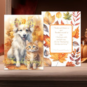 Carte Chute Blanc Collie Chien & Tabby Kitten Thanksgivi