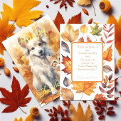 Carte Chute Blanc Collie Chien & Tabby Kitten Thanksgivi