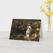 Carte Chute de Martha (Fleur jaune)