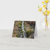 Carte Chute d'eau du printemps.... (Fleur jaune)