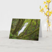 Carte Chute du Voile de la Mariée (Fleur jaune)
