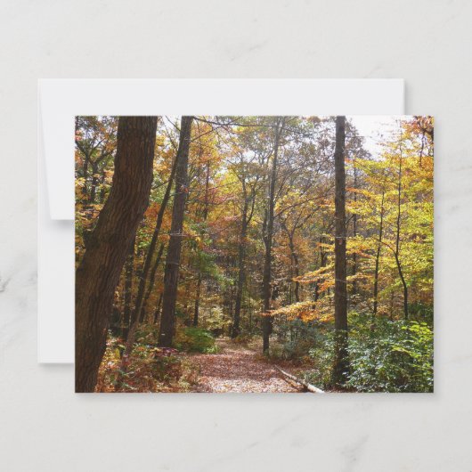 Carte Chute Sunlit dans le parc national de Laurel Hill (Devant)