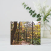 Carte Chute Sunlit dans le parc national de Laurel Hill (Debout devant)