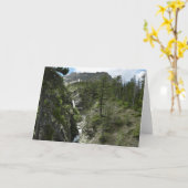 Carte Chutes d'Appistoki et pic au parc national Glacier (Fleur jaune)