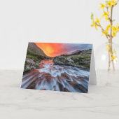 Carte Chutes de courant continu | Parc national du Glaci (Fleur jaune)