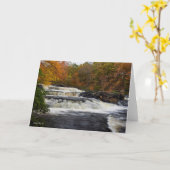 Carte Chutes de Shohola à l'automne (2) (Fleur jaune)