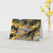 Carte Chutes de Tahquamenon (Fleur jaune)