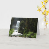 Carte Chutes de Virginie au parc national Glacier (Fleur jaune)