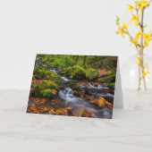 Carte Chutes du ruisseau Starvation | Columbia Gorge, Or (Fleur jaune)