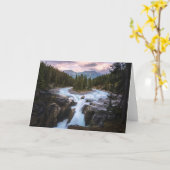Carte Chutes Sunwapta | Parc national Jasper (Fleur jaune)