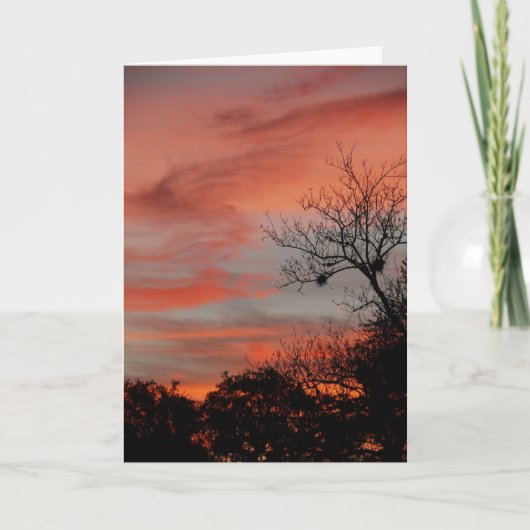 Carte Ciel du matin (Devant)