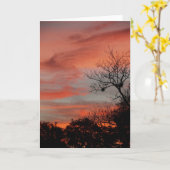 Carte Ciel du matin (Fleur jaune)