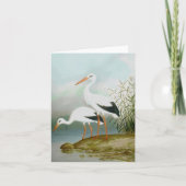 Carte cigogne blanche, illustrations d'oiseaux (Devant)