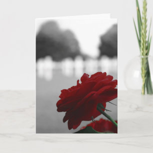 Carte Cimetière et Rose rouge - Fête commémorative