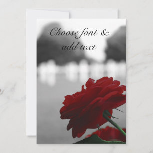 Carte Cimetière et Rose rouge - Fête commémorative