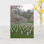 Carte Cimetière national d'Arlington (Fleur jaune)