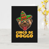Carte Cinco De Mayo Drôle Chien Avec Sombrero (Fleur jaune)