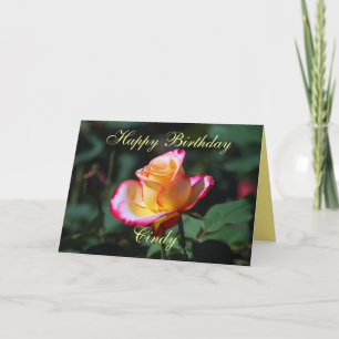 Carte Cindy Happy Birthday Rose rouge, jaune et blanche