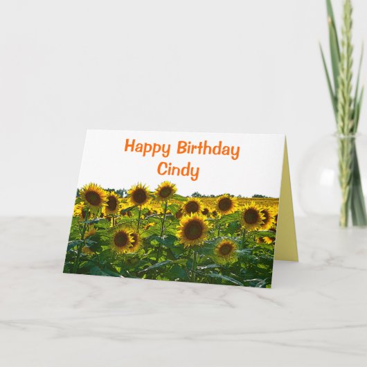 Carte Cindy Happy Birthday Sunflower Field (Devant)