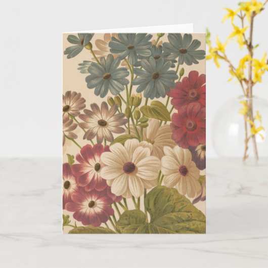 Carte Cineraria | George Nicholson (Fleur jaune)