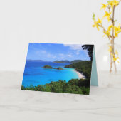 Carte Cinnamon Bay Panorama, St. John, U.S.V.I. (Fleur jaune)