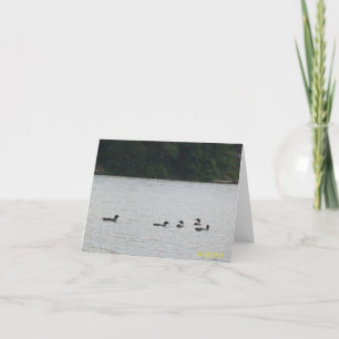 Carte Cinq dingues sur le lac sylvain