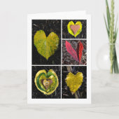 Carte Cinq Feuilles (Devant)