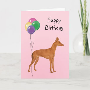 Carte Cirneco dell'Etna, Ballons d'anniversaire