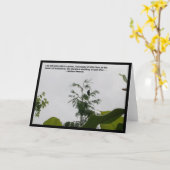 Carte Citation Blackbird (Fleur jaune)