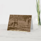 Carte Citation de Fête des pères Hilaire (Dos)