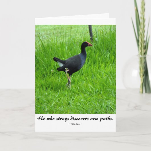 Carte Citation de voyage par Nils Kjær (Devant)