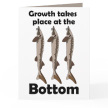Citation Inspirante Poisson Esturgeon Fond de l'Ea