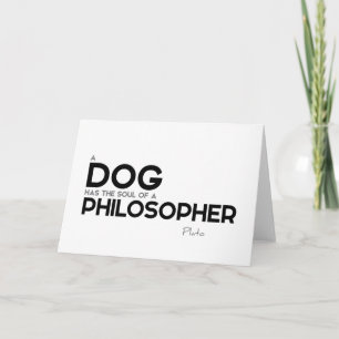 Carte CITES : Platon : Chien, philosophe