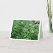 Carte Citronella Plante avec Floral (Devant)