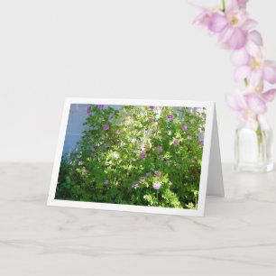 Carte Citronella Plante avec Floral