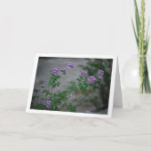 Carte Citronella Plante avec Portrait Floral (Devant)