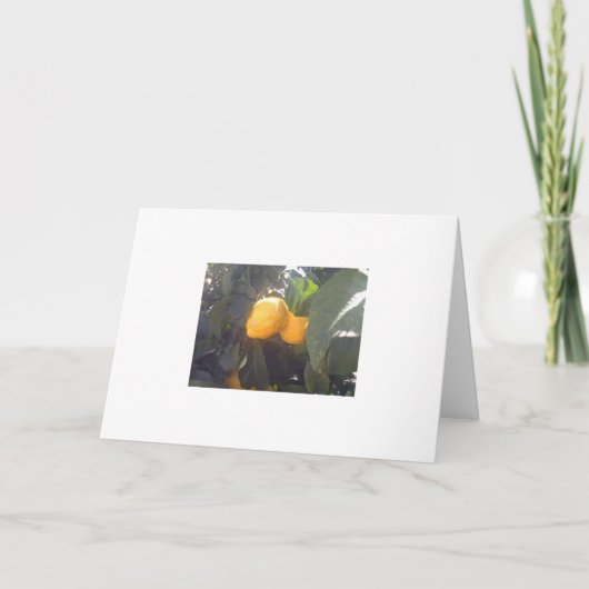 Carte Citrons ? (Devant)