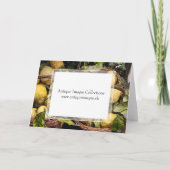 Carte Citrons italiens élégants de côte d'Amalfi de (Dos)