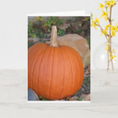 Carte Citrouille (Fleur jaune)