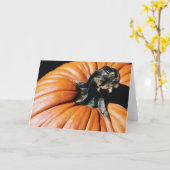 Carte Citrouille (Fleur jaune)