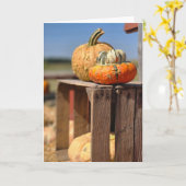 Carte citrouille et gourde (Fleur jaune)