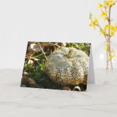 Carte Citrouille parties scintillant (Fleur jaune)