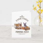 Carte Citrouille Patch French Bulldog The Original Farm (Fleur jaune)