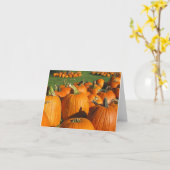 Carte citrouille Roca Berry Farm 4 (Fleur jaune)