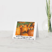 Carte citrouille Roca Berry Farm 4 (Dos)
