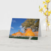 Carte Citrouilles (Fleur jaune)