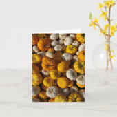 Carte Citrouilles (Fleur jaune)