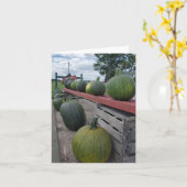 Carte Citrouilles (Fleur jaune)